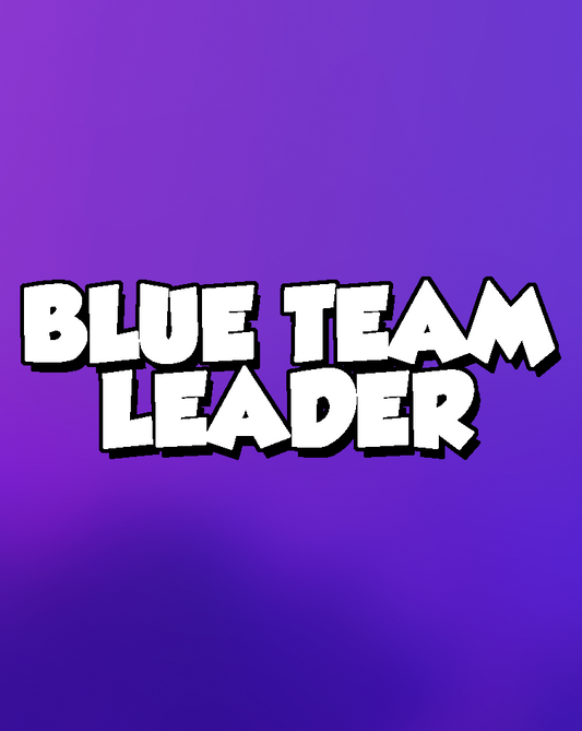 Blue Team Leader Account + Random Skins | Full Access